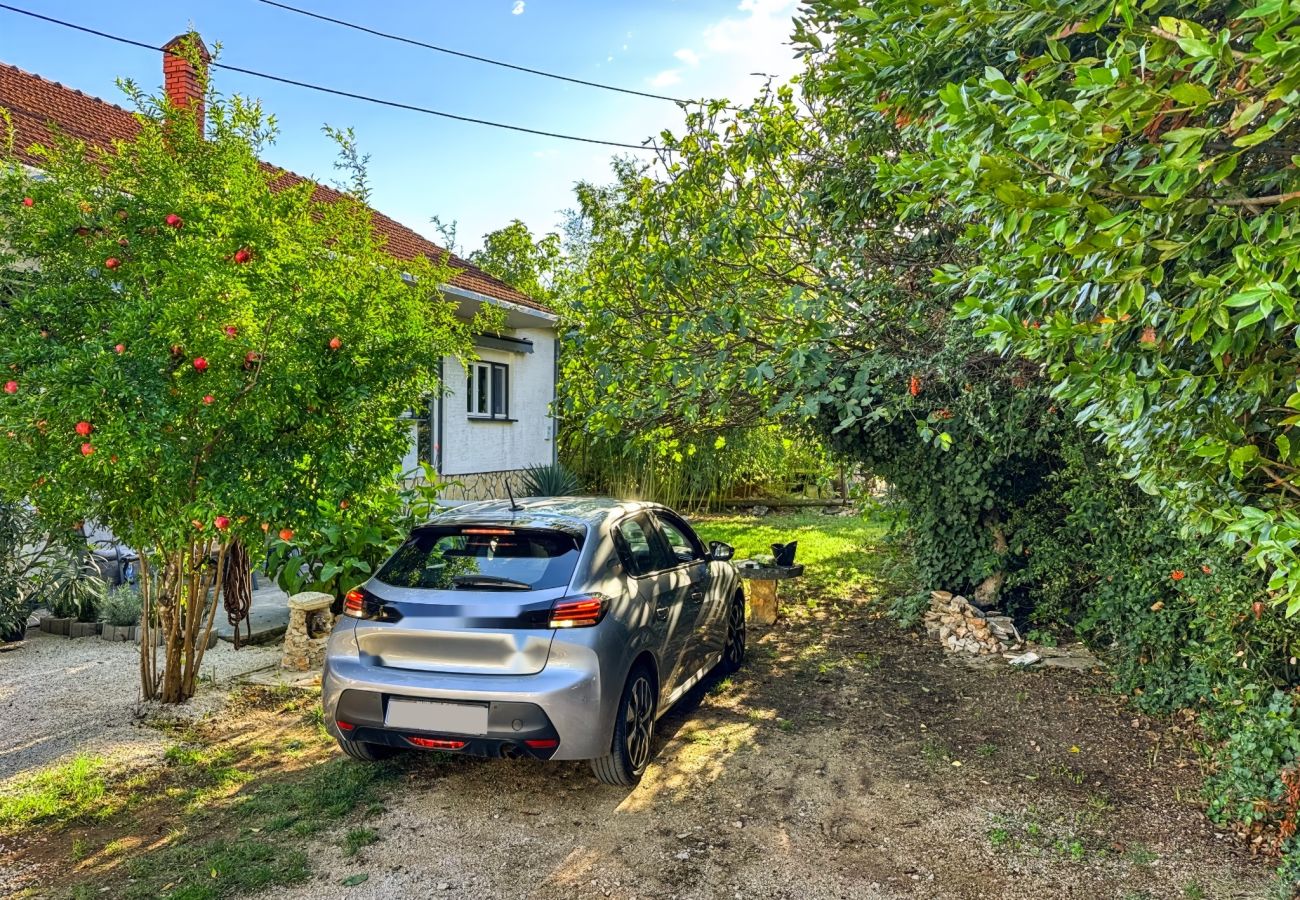 Apartment in Zadar - Apartment Green Corner